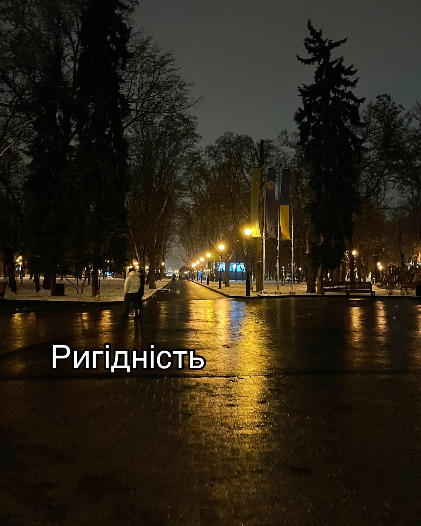 Нічна алея парку з ліхтарями, мокра бруківка відблискує світлом; напис «Ригідність»