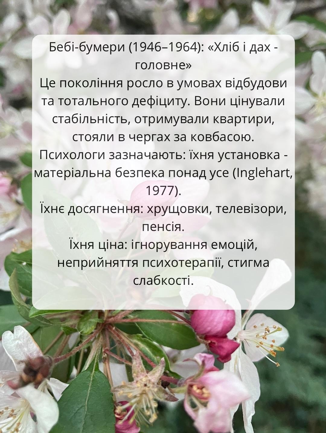 Слайд «Бебі-бумери (1946-1964)» на тлі квітучої яблуні