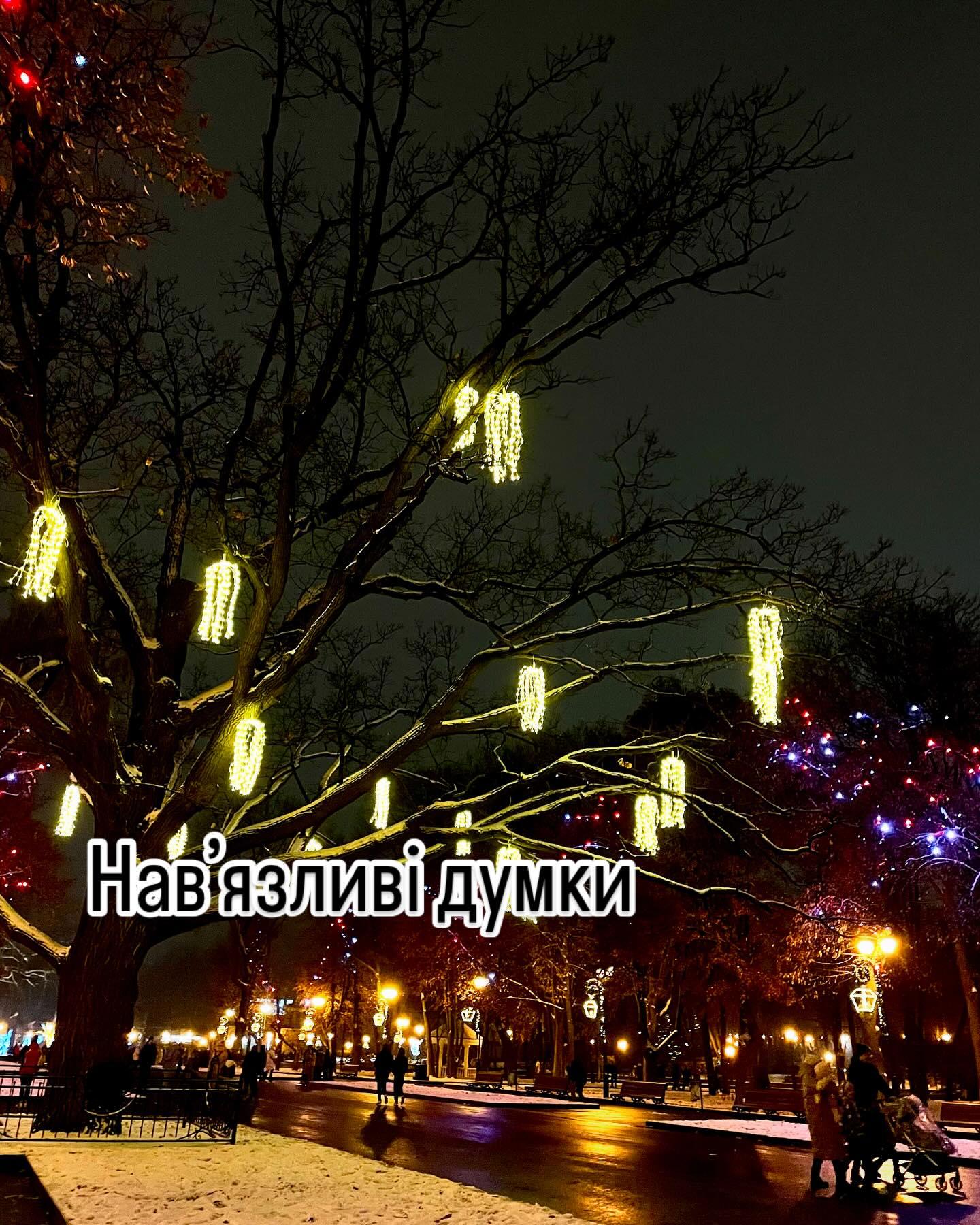Нічний засніжений парк, на гілках дерева світяться гірлянди; напис «Нав’язливі думки»